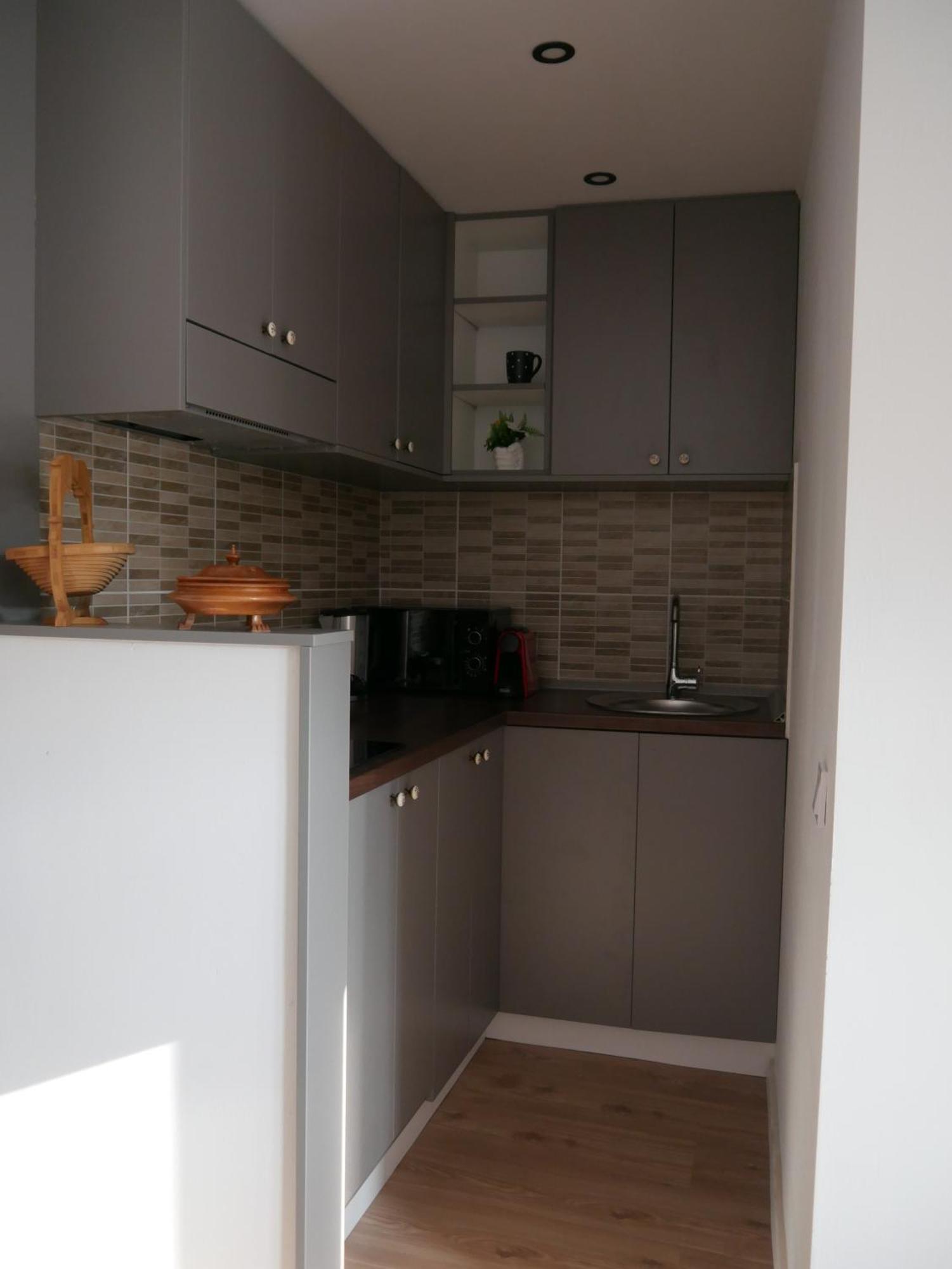 Free Garage In The Center-Delicia 4 Studio! Sibiu Ngoại thất bức ảnh
