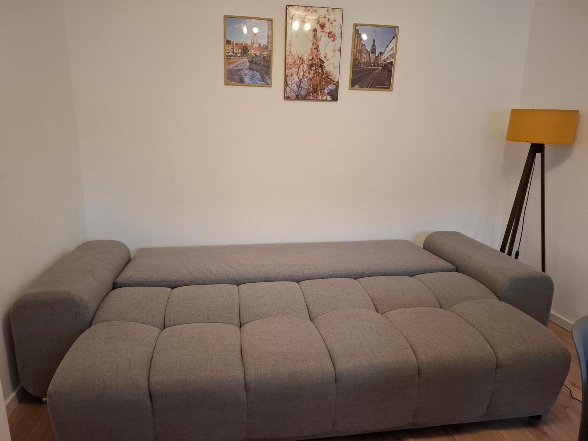 Free Garage In The Center-Delicia 4 Studio! Sibiu Ngoại thất bức ảnh